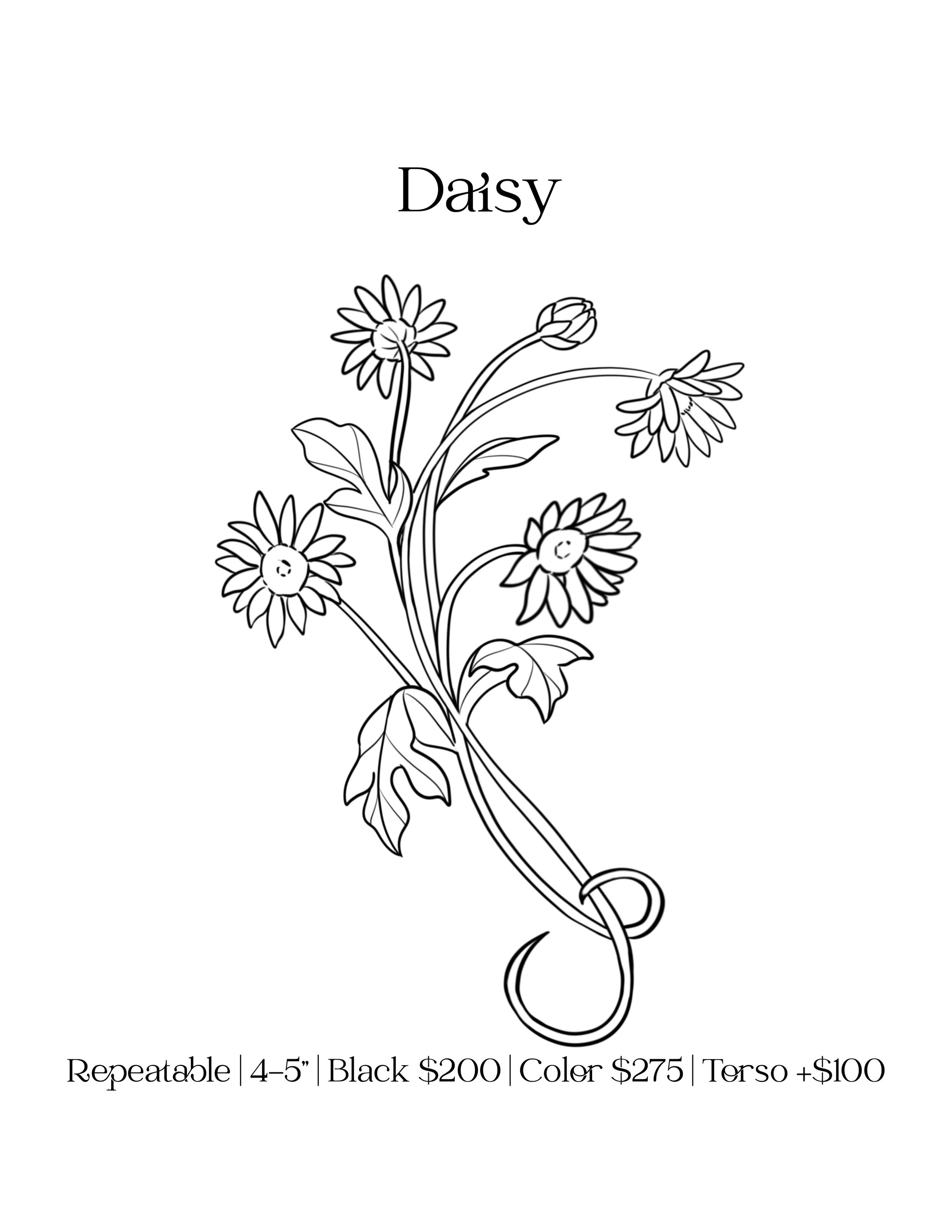 Daisy.jpg