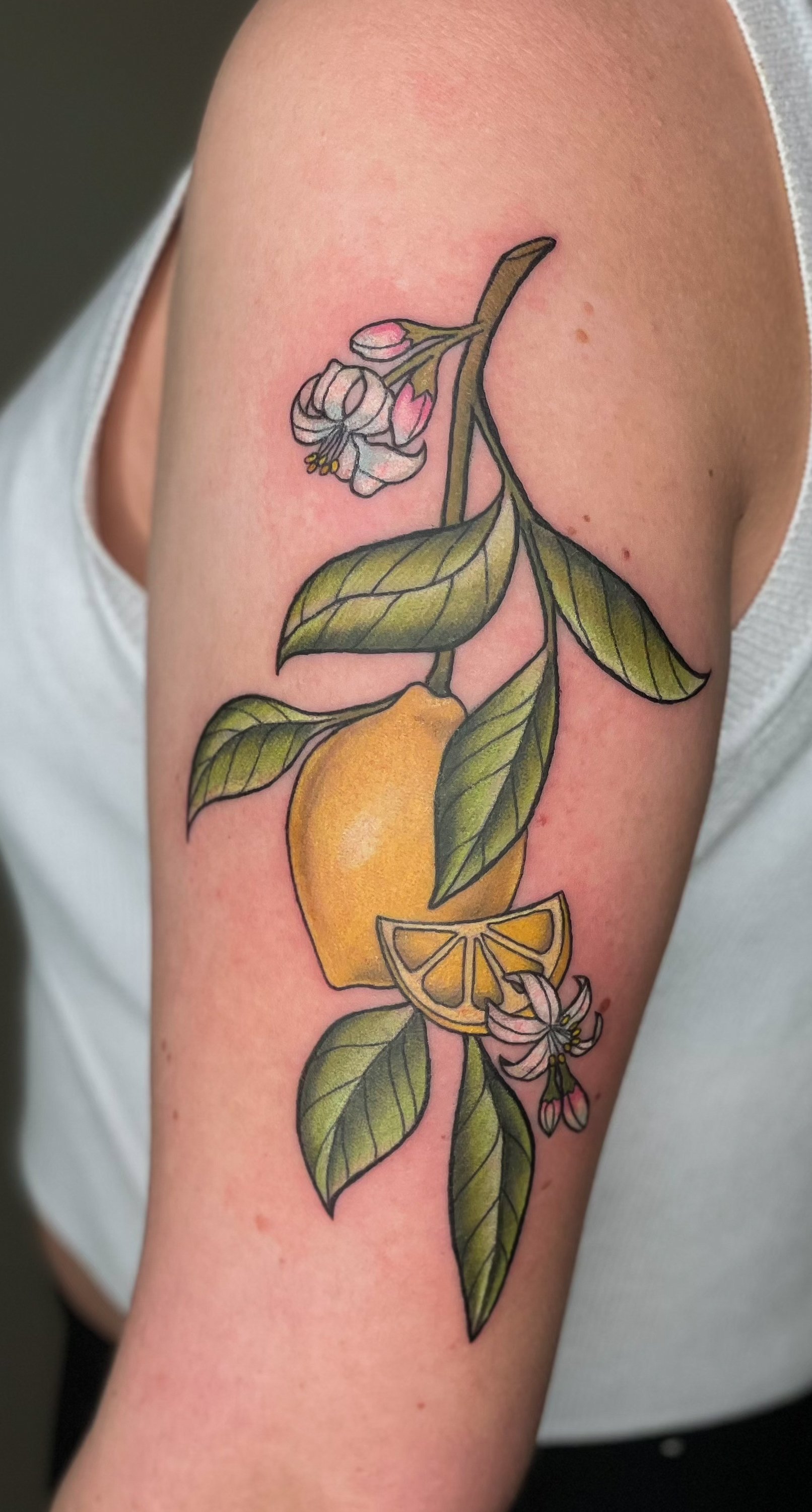 orange tree branch tattooTikTok Search
