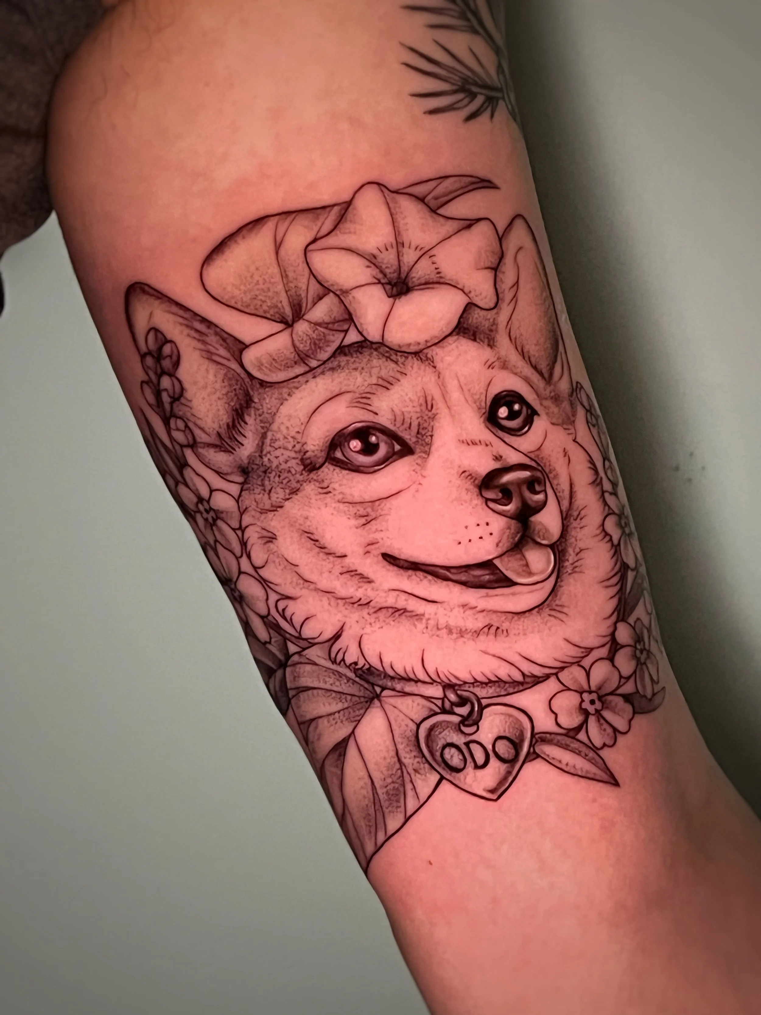 corgi-odo-memorial-tattoo.JPG