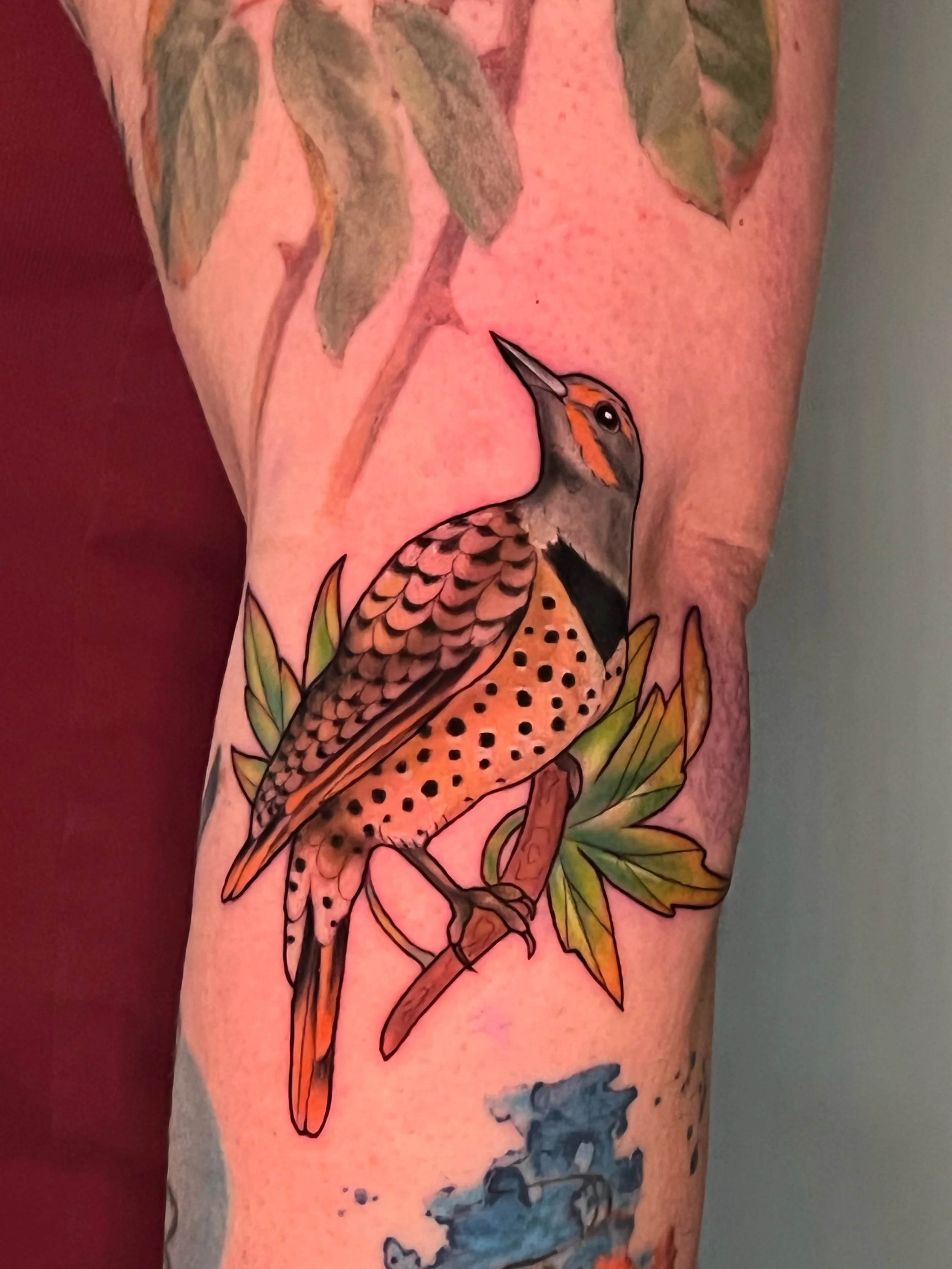 flicker-bird-tattoo.JPG