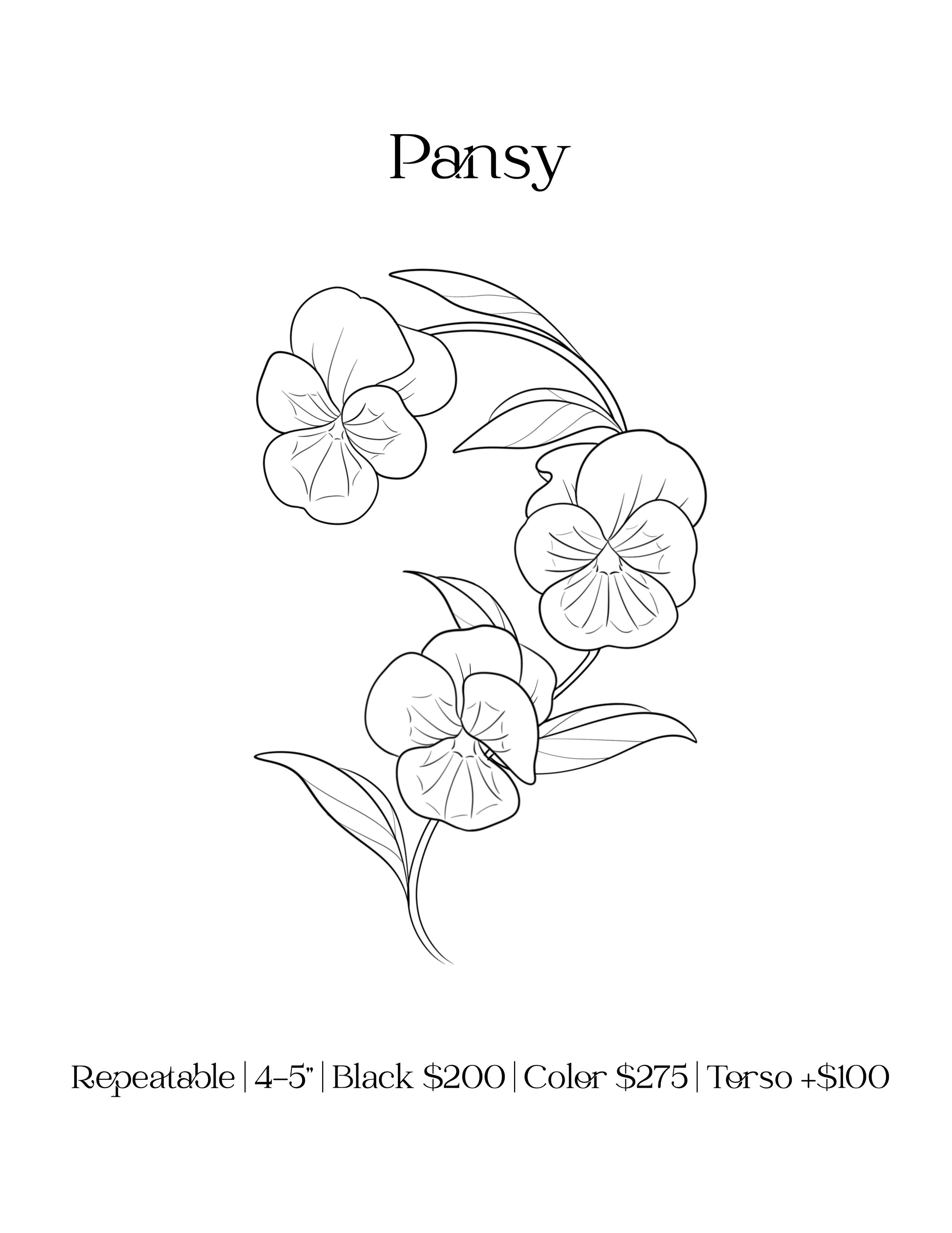 Pansy.jpg