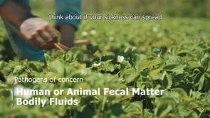 MDARD : Video 3 - Inspection for Farm Workers - ENGLISH (Copy)