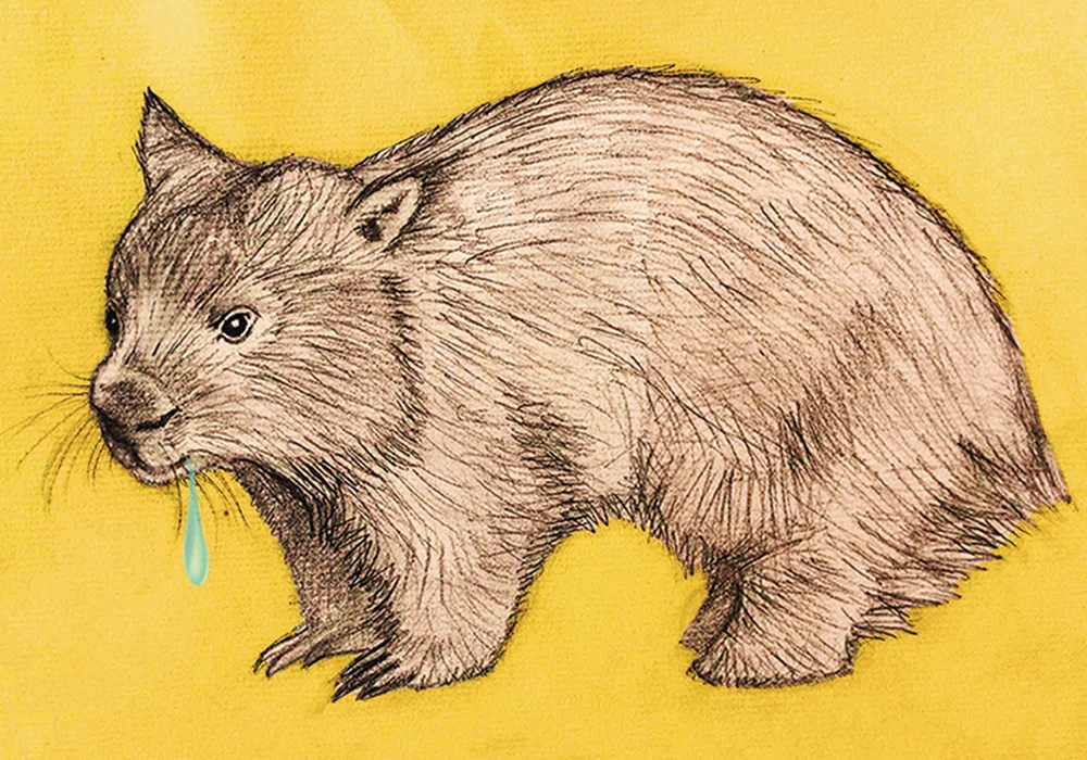 WombatDroolGUIDE.jpg