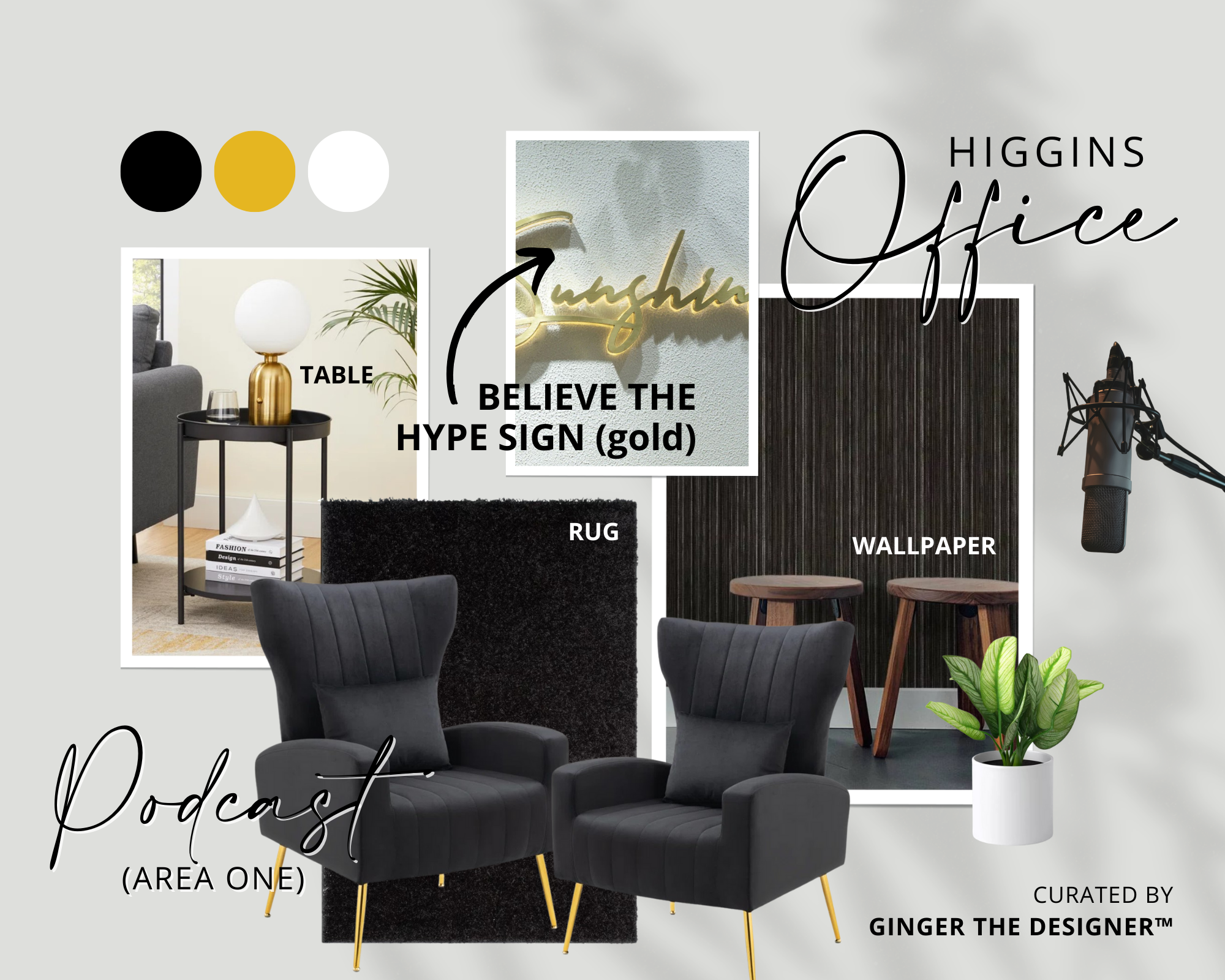 Higgins Office - Podcast Area 1.png