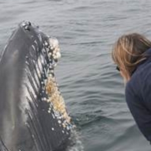 Regina Asmutis-Silvia: Marine Biologist