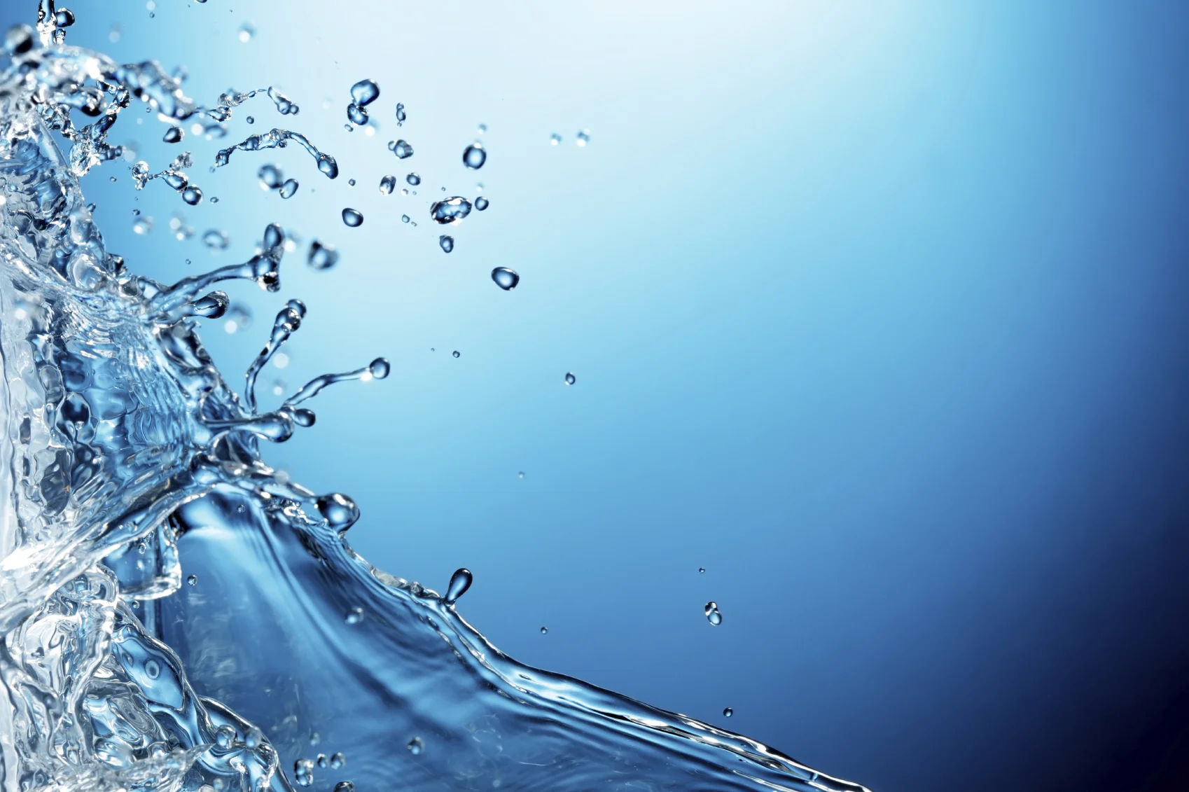 iStock_000013156211_Medium.jpg