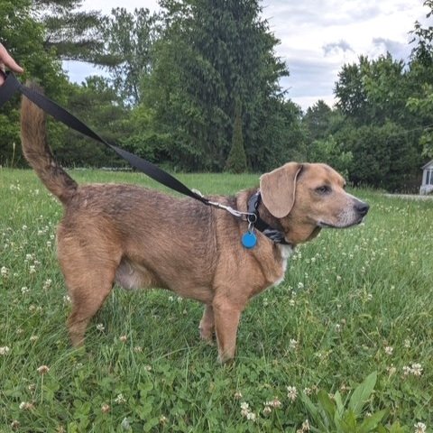 Cooper2.jpg