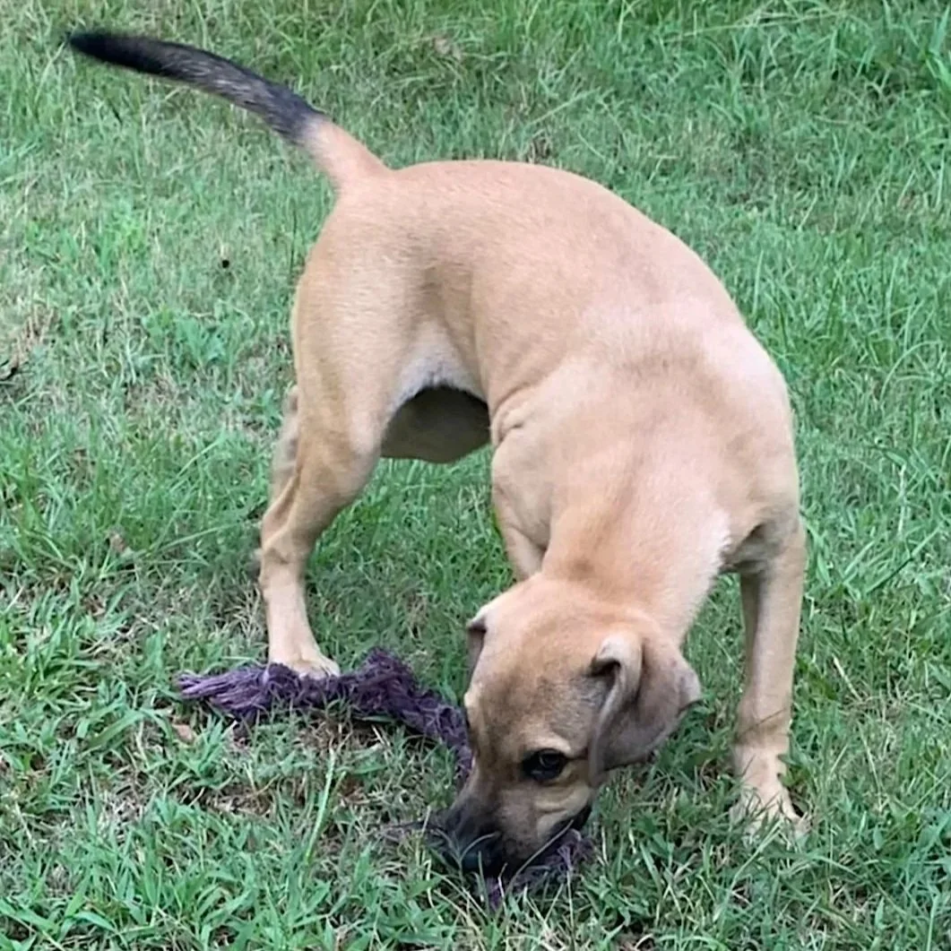 Buster_Aug_4.jpg