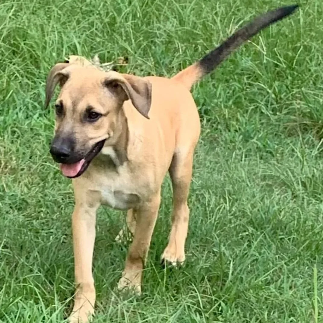 Buster_Aug_3.jpg