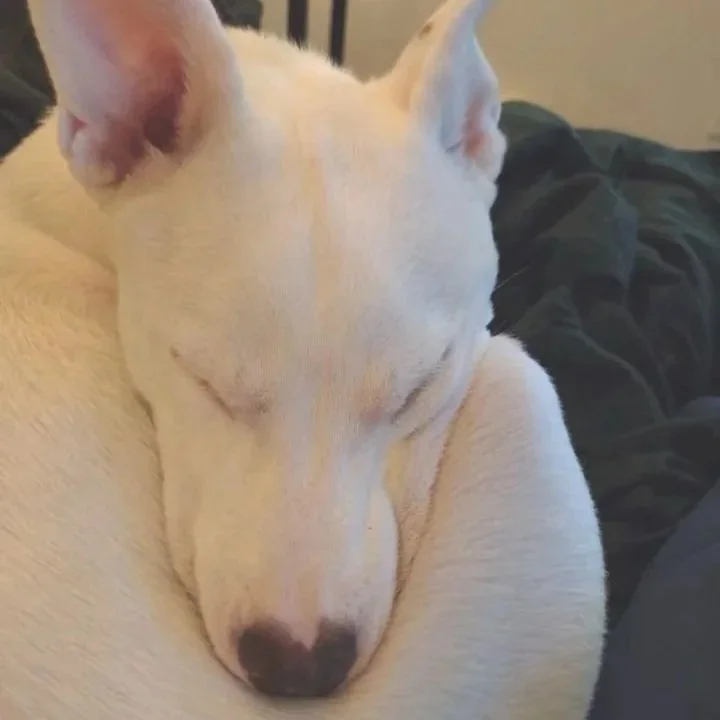 Casper2.jpg