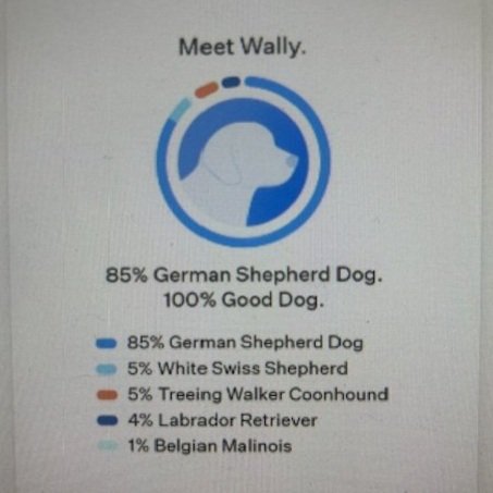 Wally+DNA.jpg