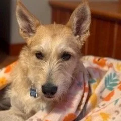 Millie4.jpg