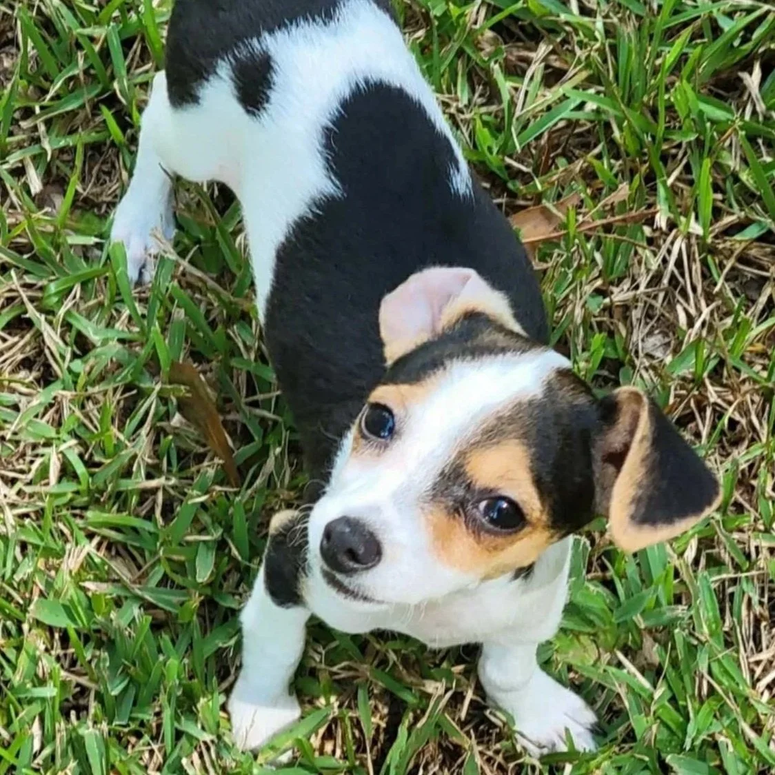 Minnie2.jpg