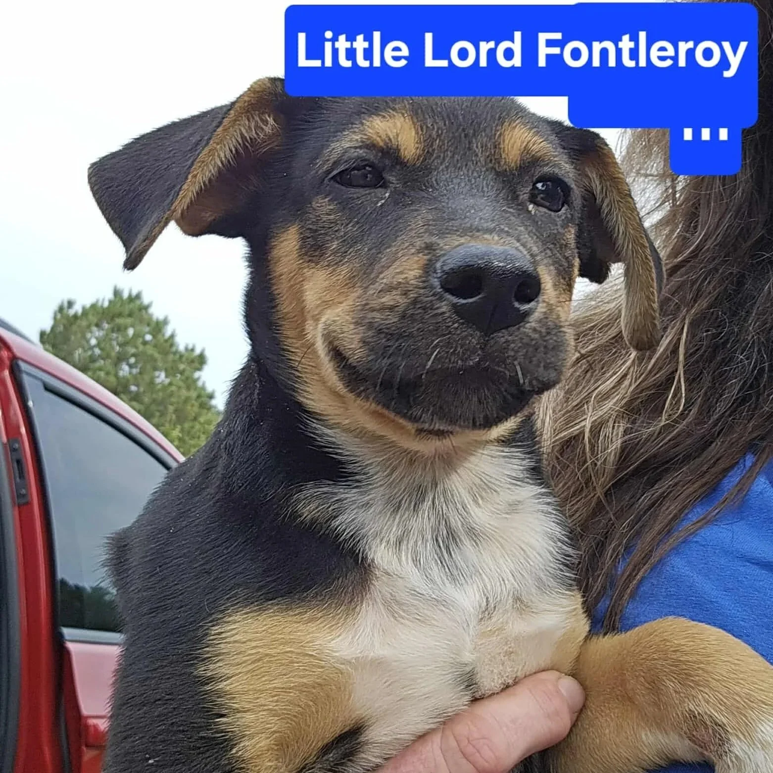 Fontelroy2.jpg