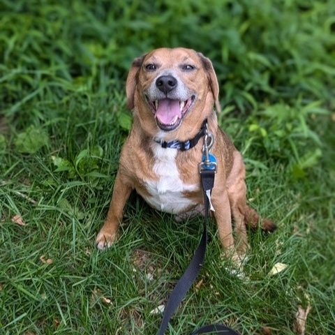 Cooper5.jpg
