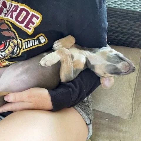 Delilah3.jpg