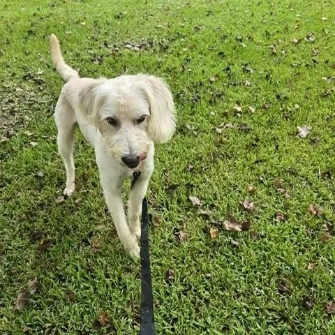 Charlie5.jpg