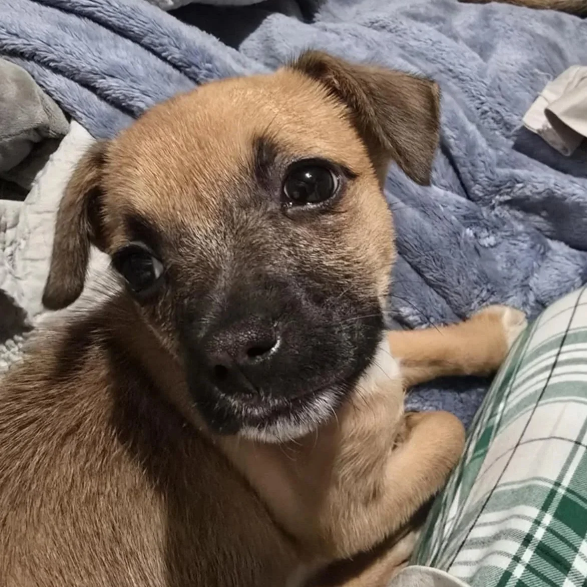 Nellie5.jpg