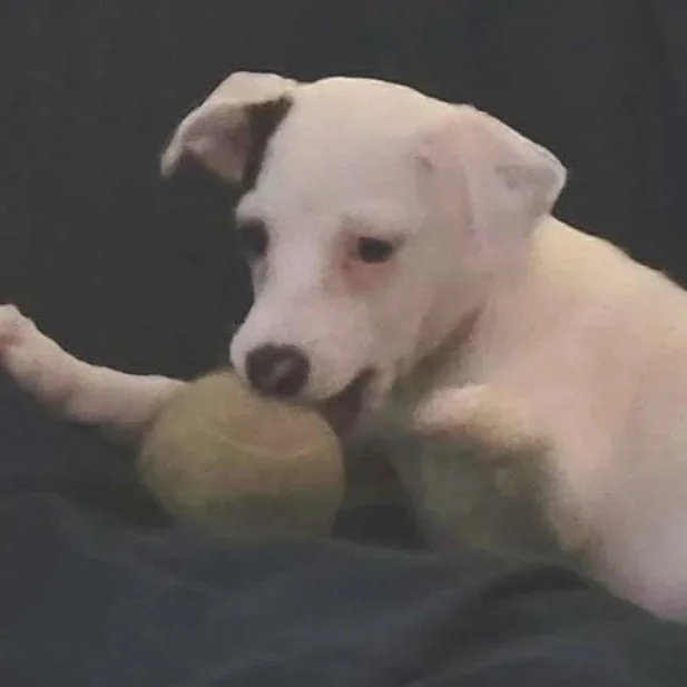Maizey.jpg