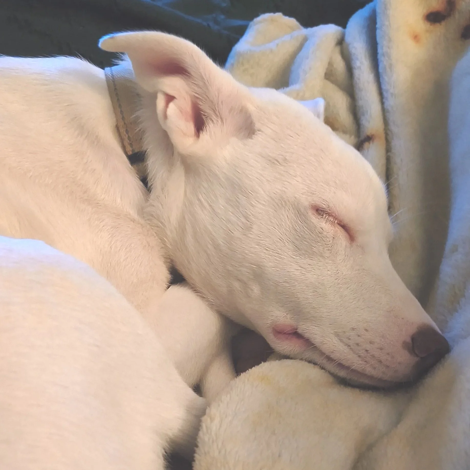 Casper1.jpg