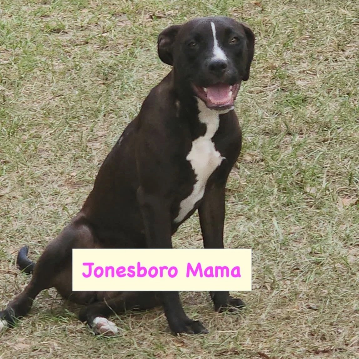 Jonesboro_Mama.jpg