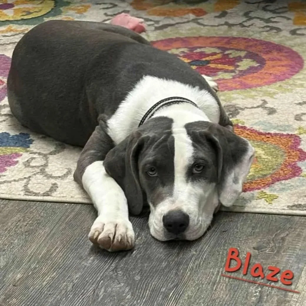Blaze4.jpg