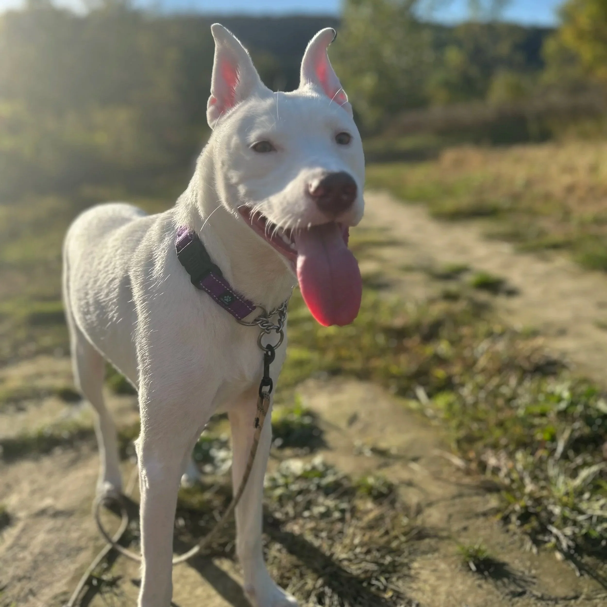 Casper1.jpg