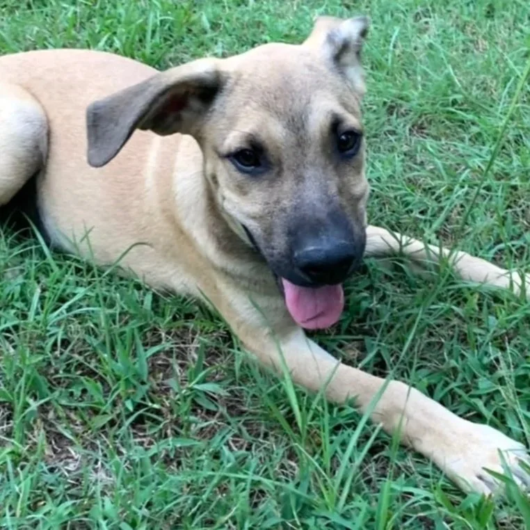 Buster_Aug_1.jpg