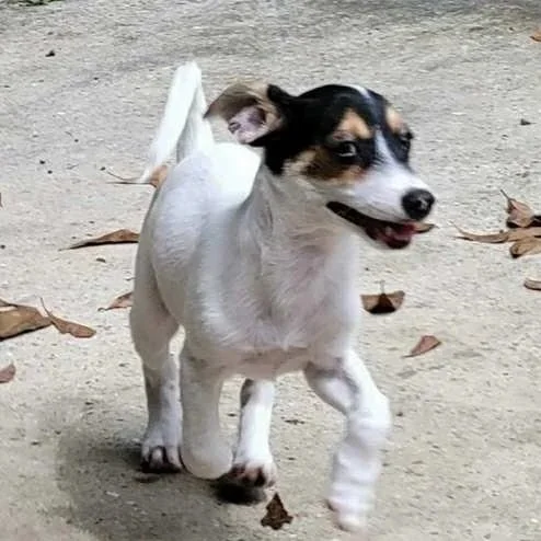 Mikey2.jpg