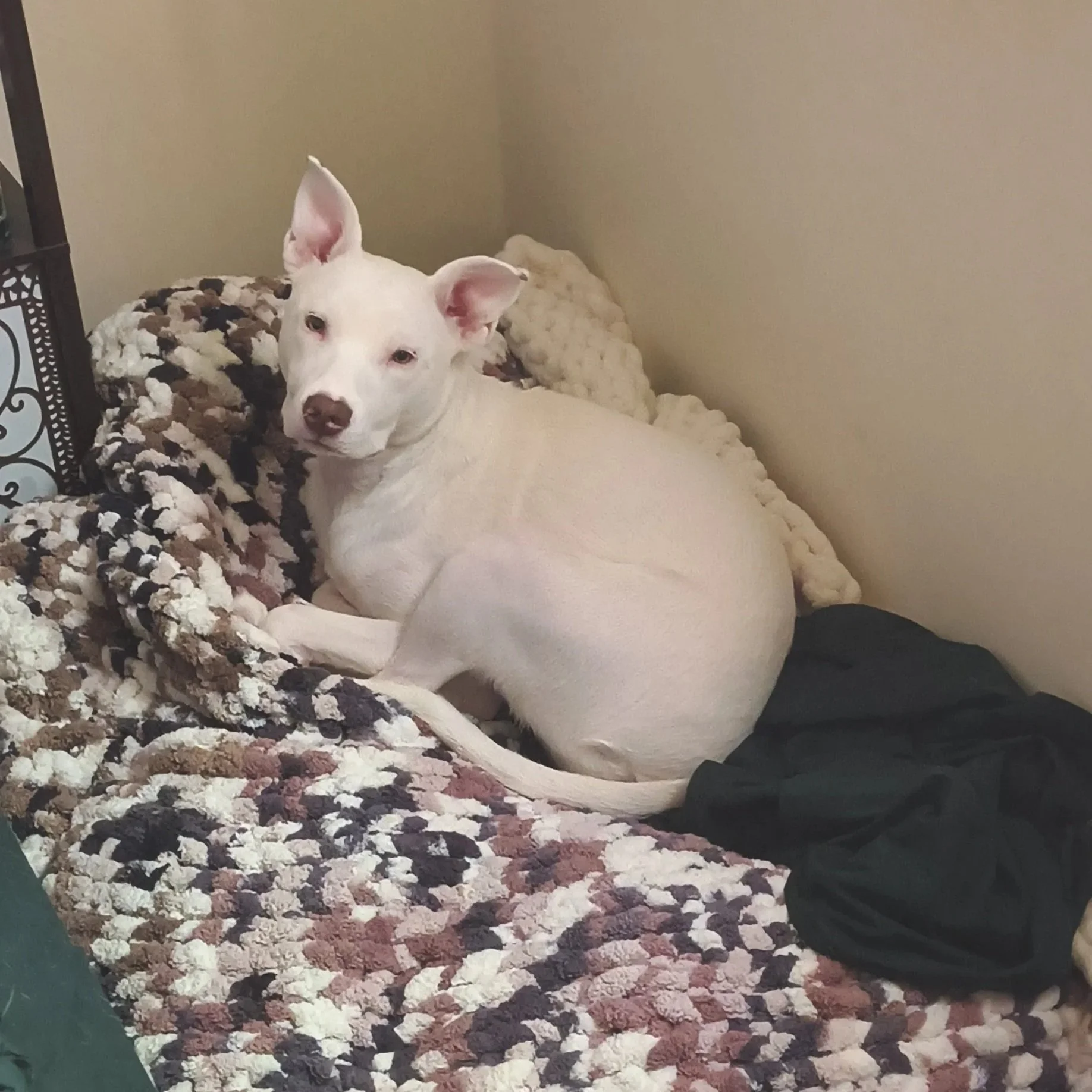 Casper4.jpg