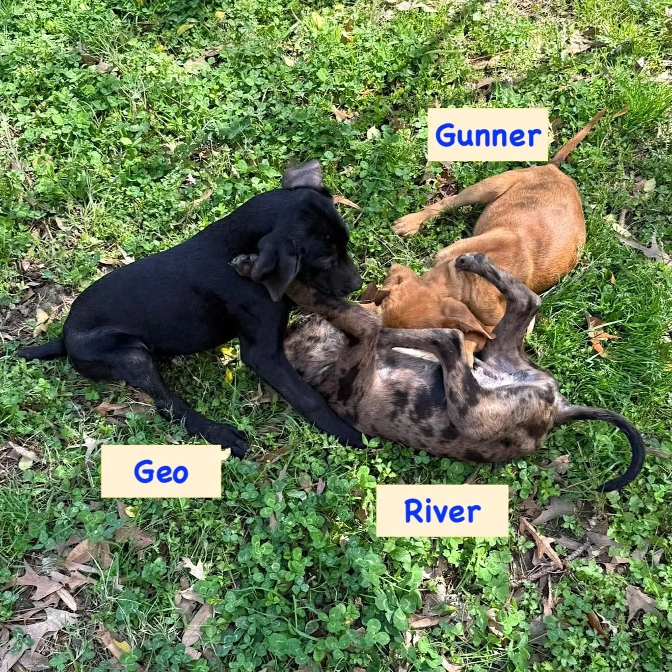 River_Geo_Gunner1.jpg