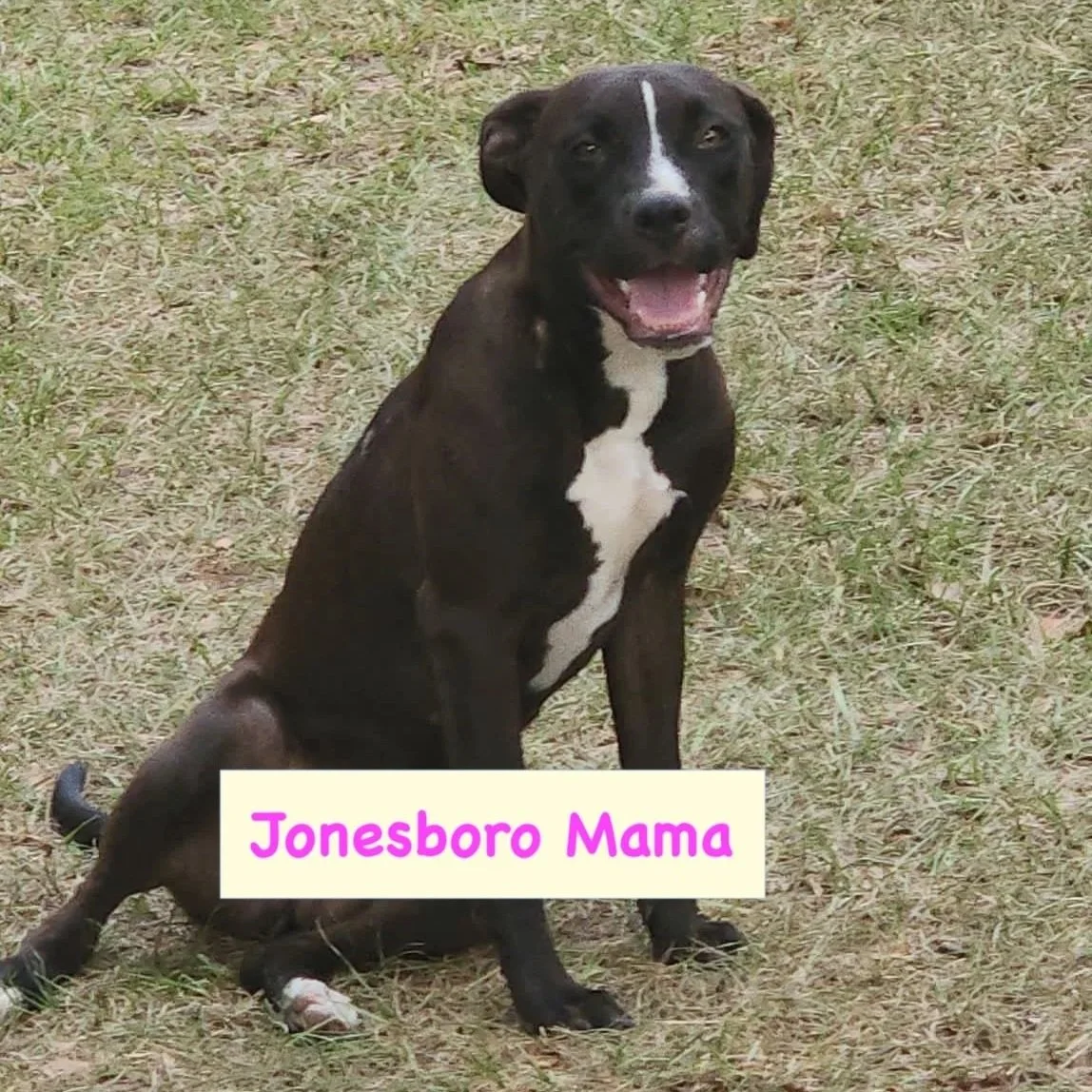 Jonesboro_Mama.jpg