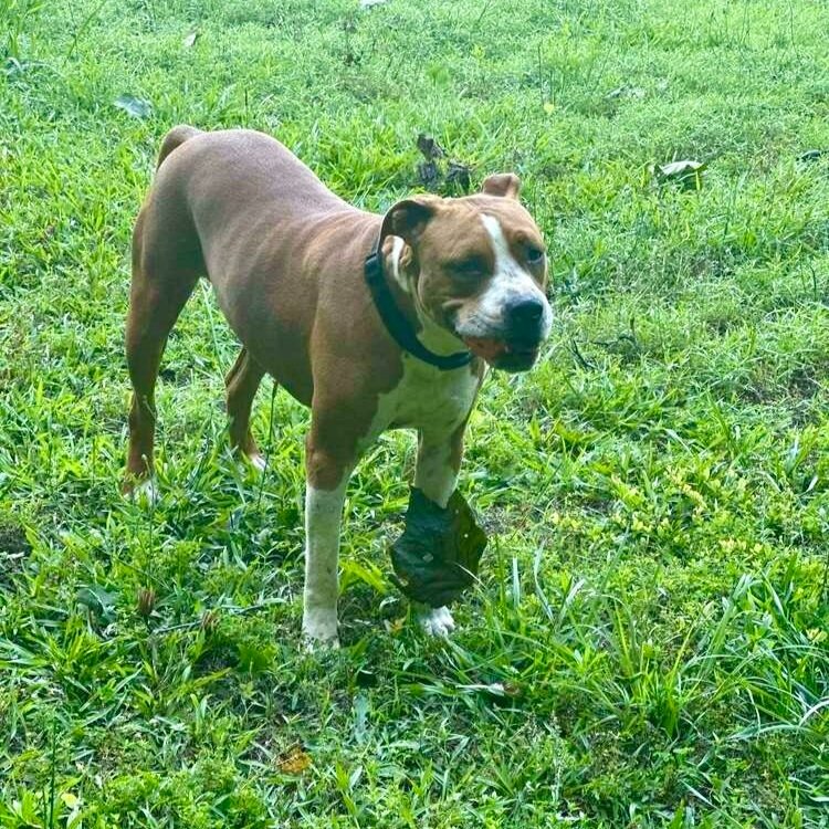 Waylon4.jpg