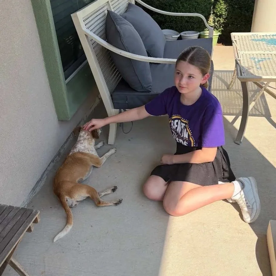 MeerkatMolly3.jpg