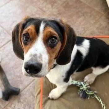 Buster Available to Meet in Vermont