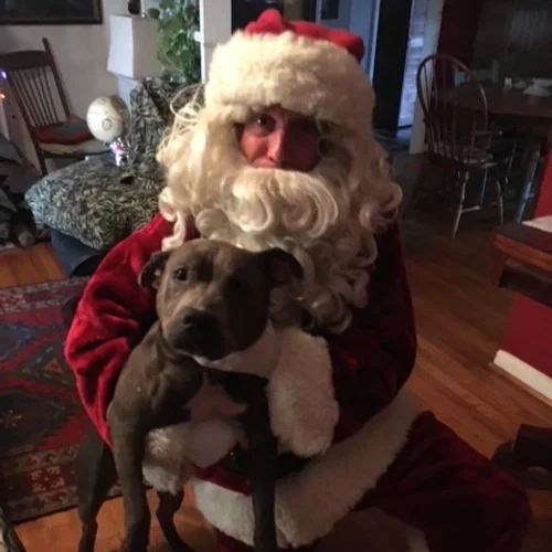 Henry+santa.png