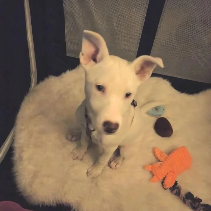 Casper5.jpg