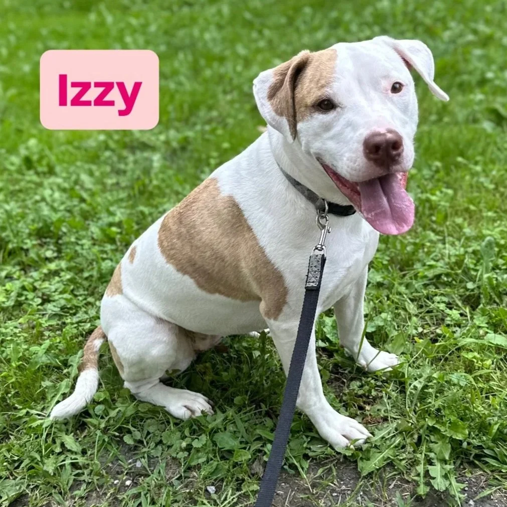 Izzy5.jpg