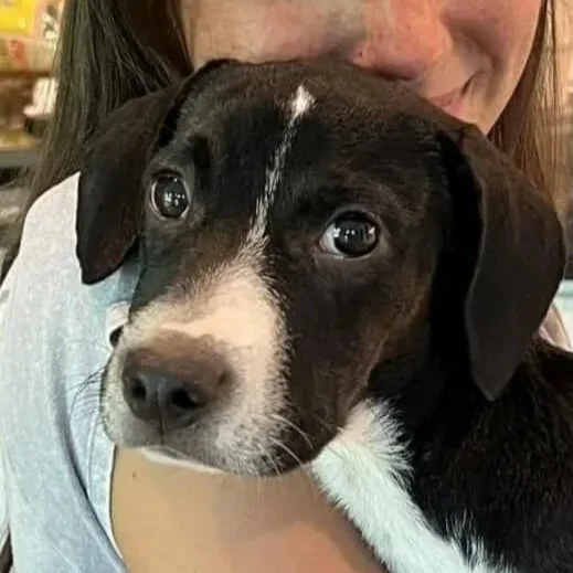 LucyLu1.jpg