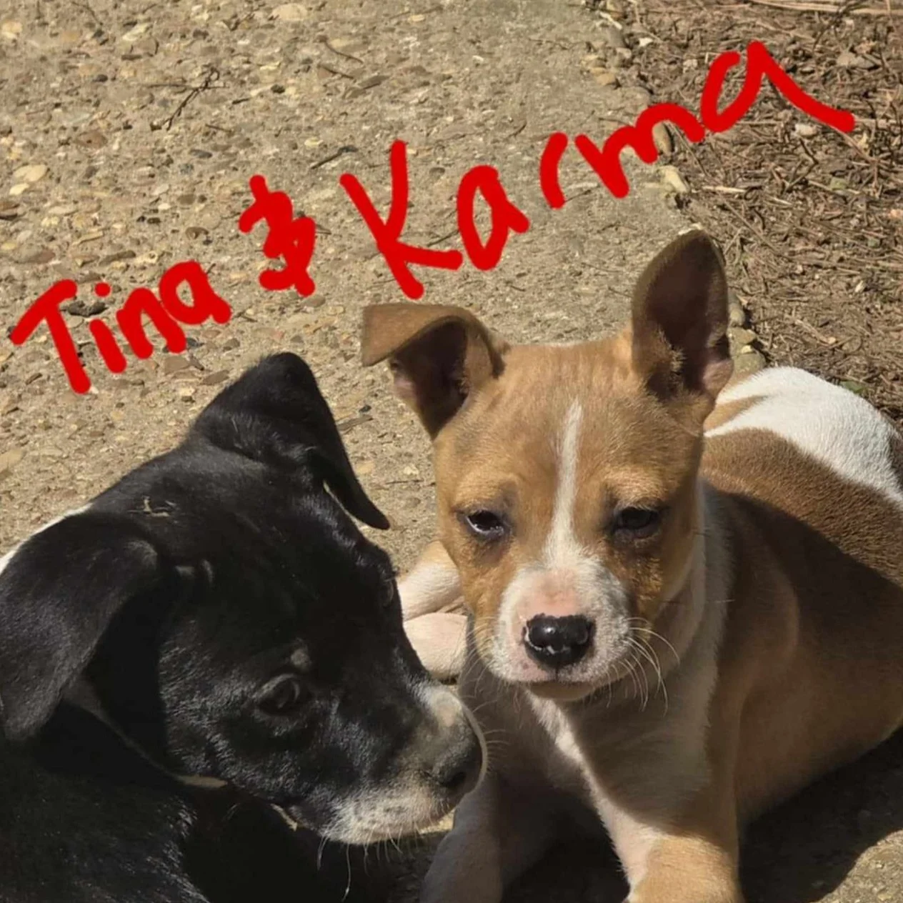 Karma3.jpg