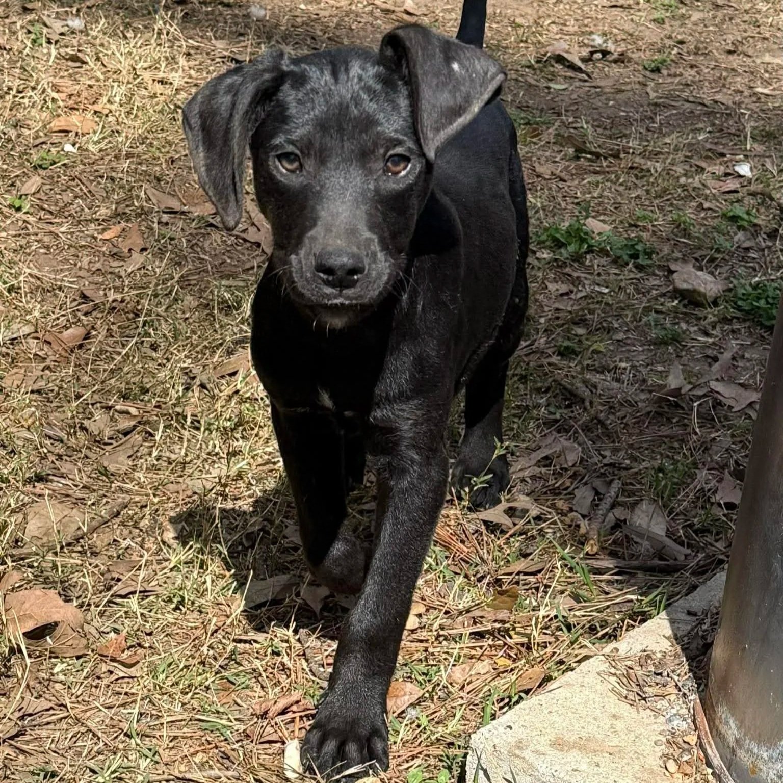 Geo - The Lucky Ones