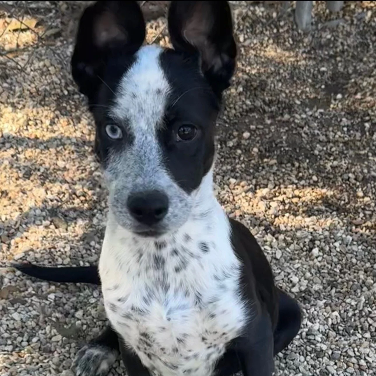 IMG_3476.png