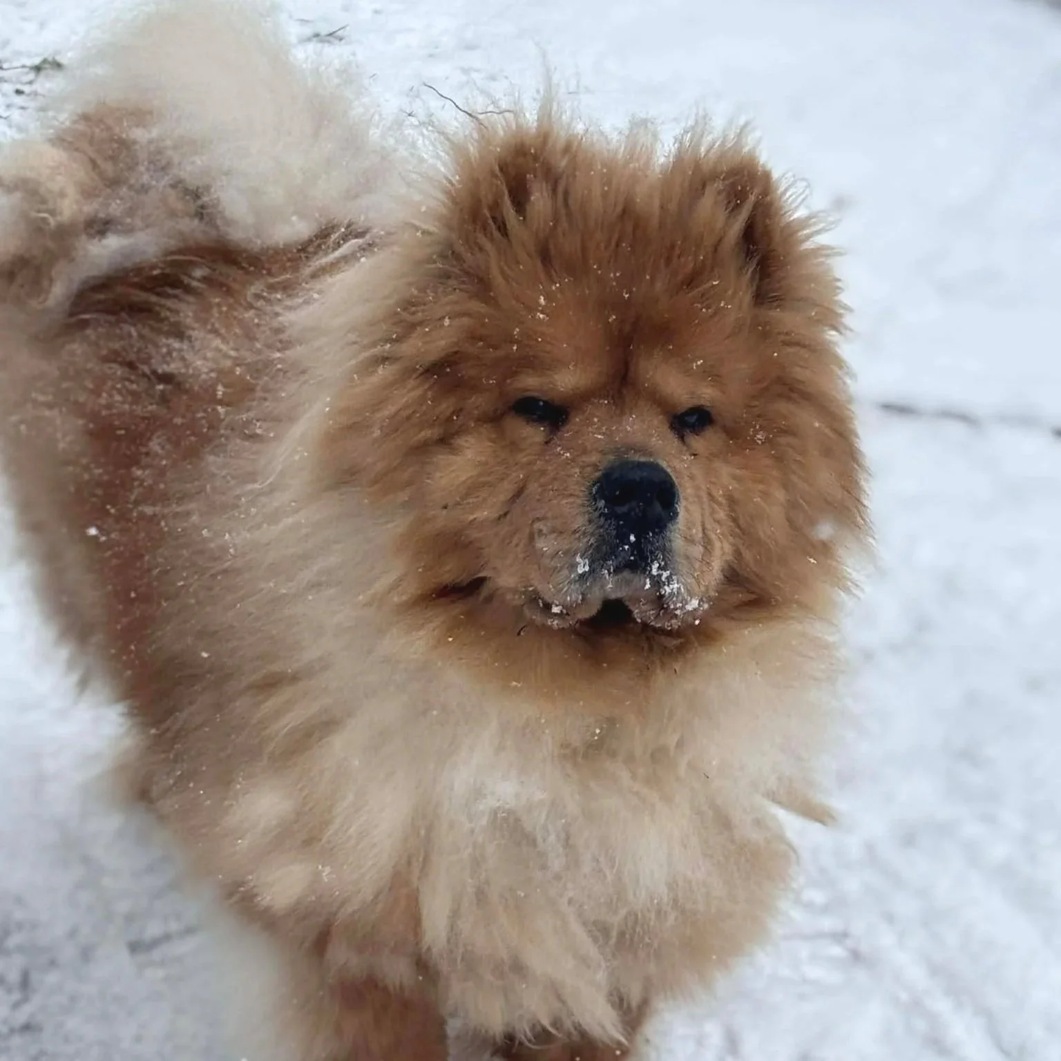 Harper -Available to Meet in Vermont