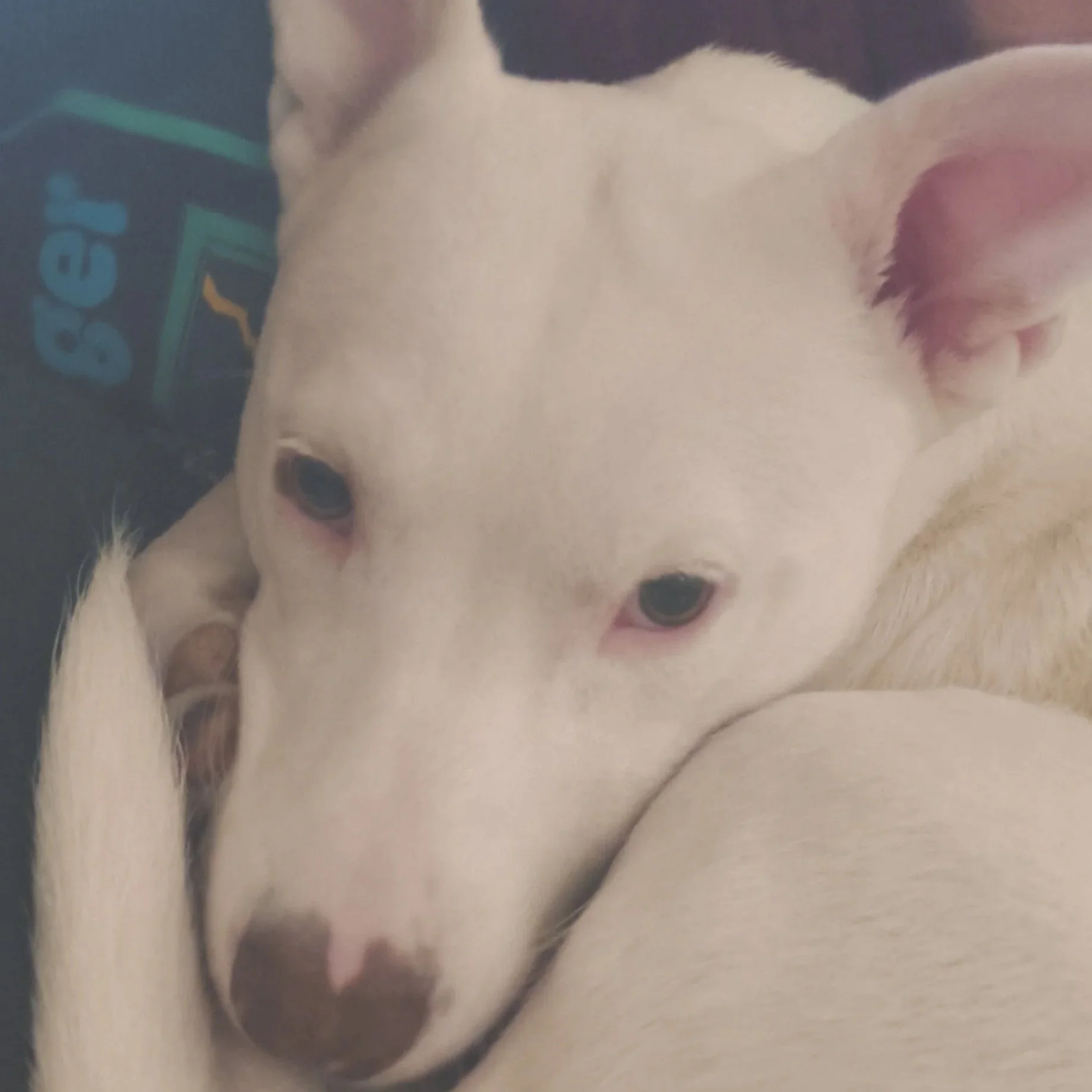 Casper3.jpg