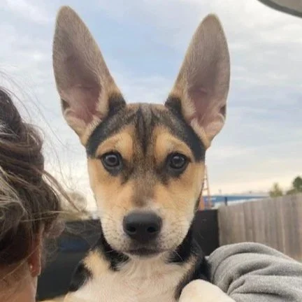 Sister - Adopted
