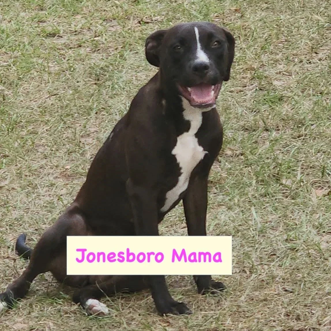 Jonesboro_Mama.jpg