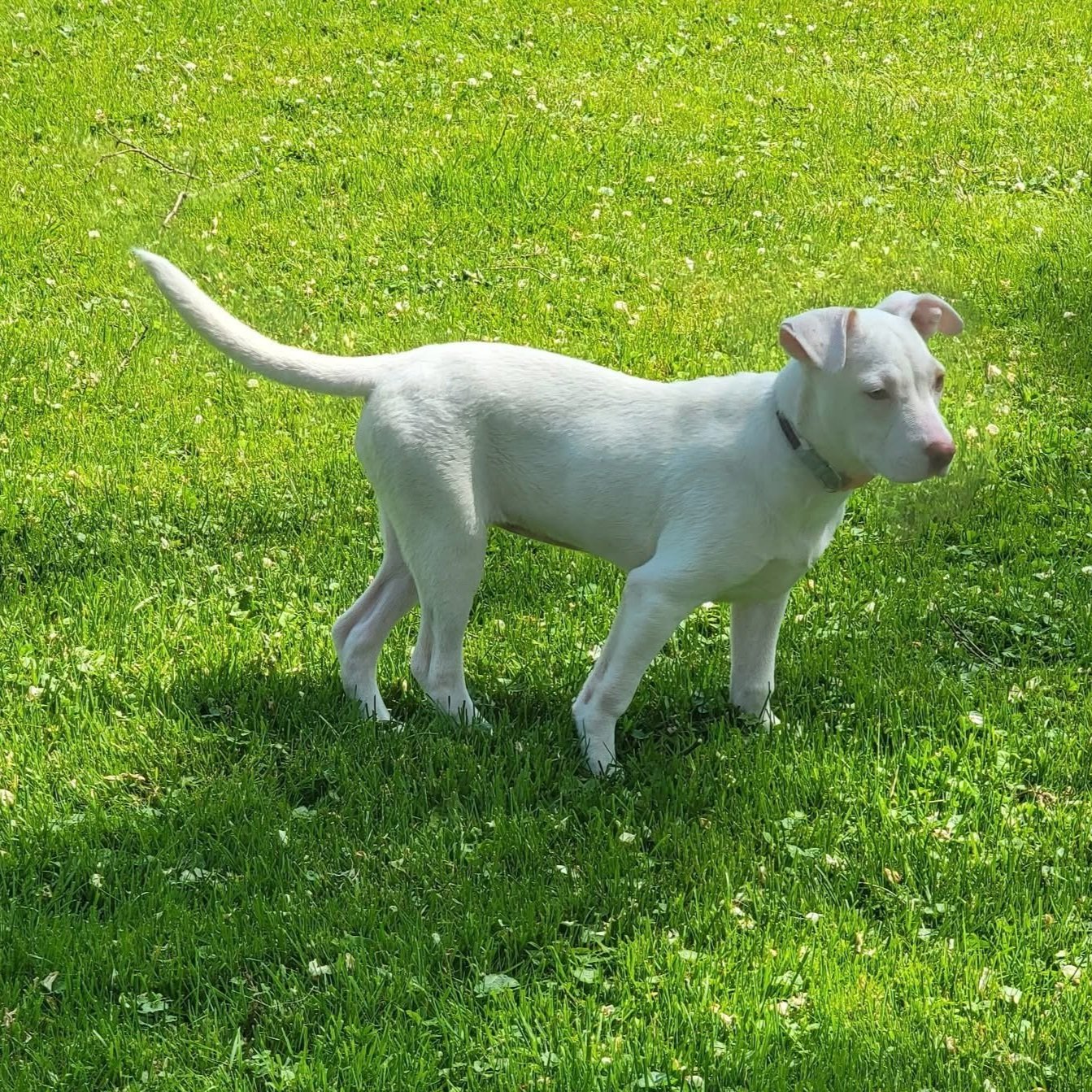 image1.jpg