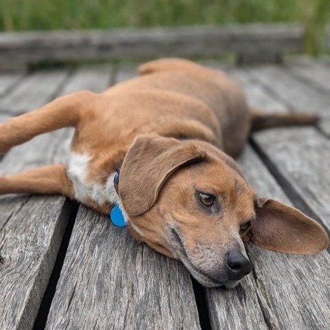 Cooper4.jpg