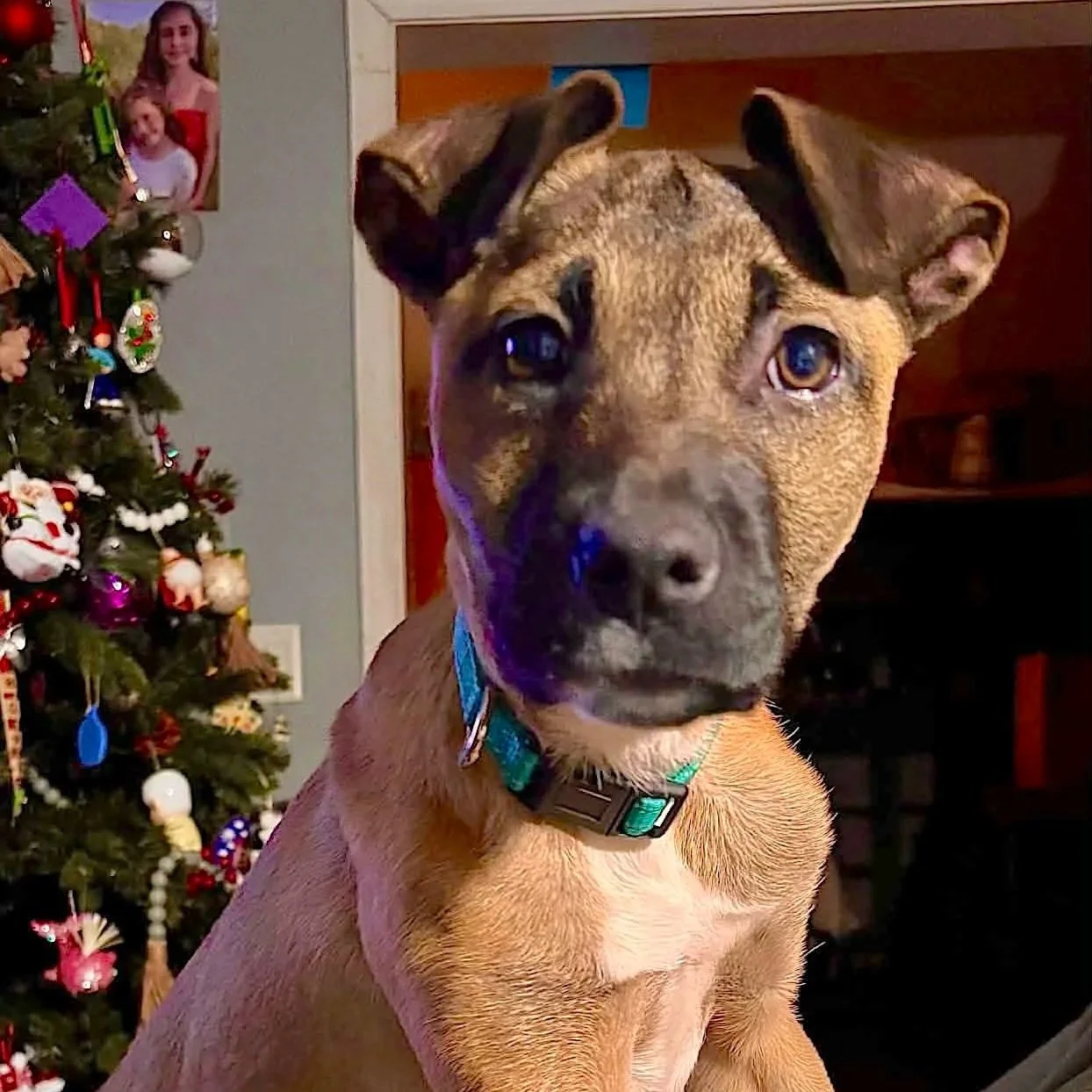 Alice - The 1920s Gang - Available to Meet in Vermont