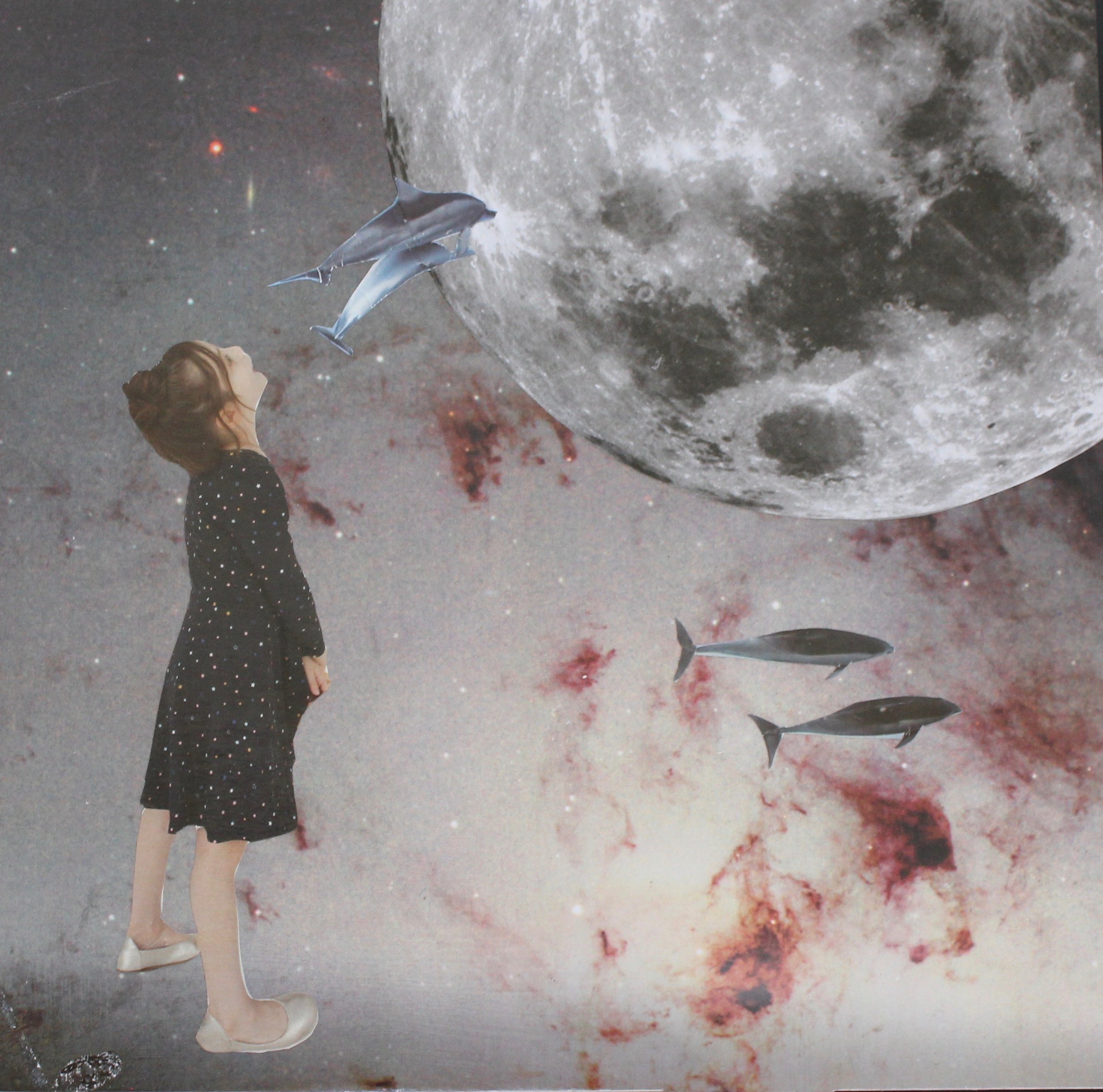 "Wonders of the Universe"